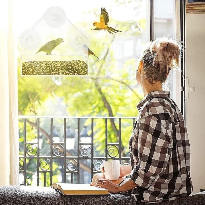 🔥Last Day Promotion -50% Off🐦Window Bird Feeder for Outside