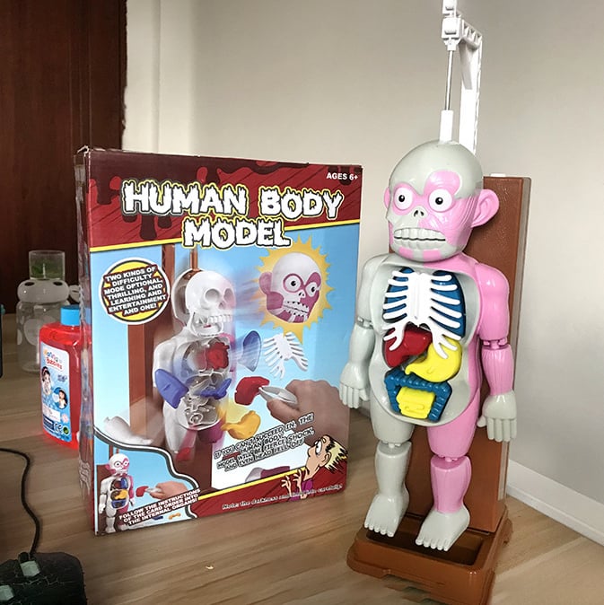 ☠️Mannequin Eject Educational Toy 🎁Halloween Gift