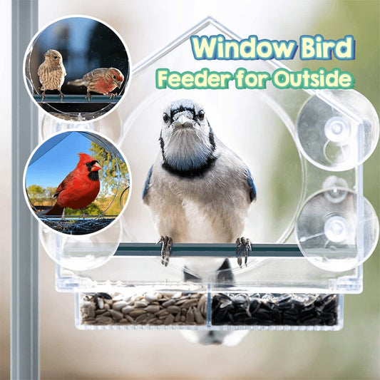 🔥Last Day Promotion -50% Off🐦Window Bird Feeder for Outside