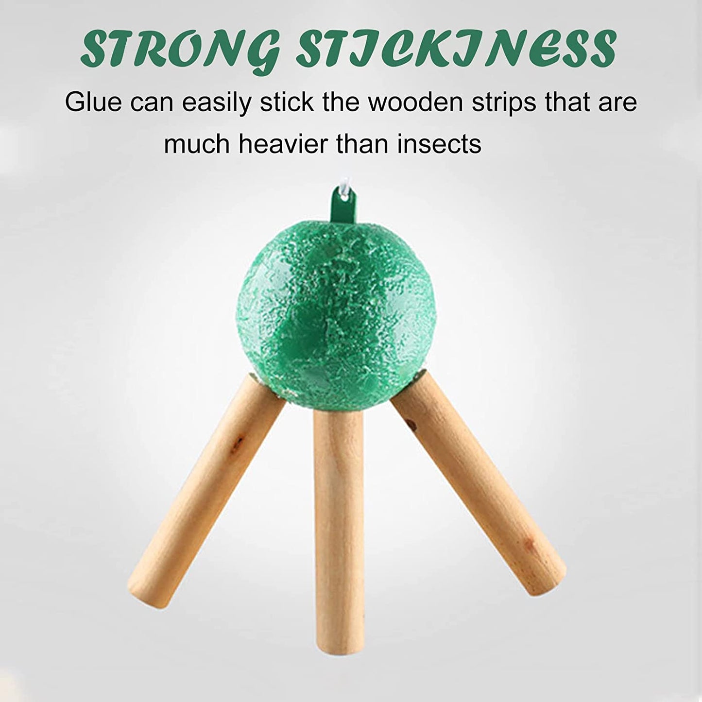 🎁 Hanging Environmental Fruit Fly Traps Sticky Traps