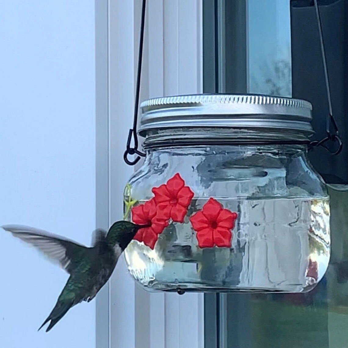🎉 Last Day Promotion-50% OFF 🎉- Beautiful Mason Jar Hummingbird Feeder W/ Three Ports