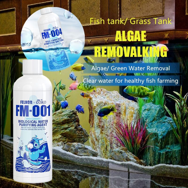 🏆2026 Bestselling🔥Product Fit for a FreshSmile, Say Goodbye to Wearing Discomfort!🌎