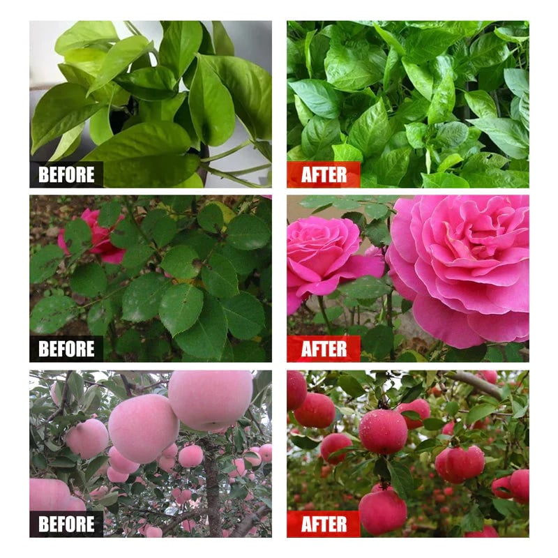 💚Buy3get2Free💚 Plant Nutrient Solution