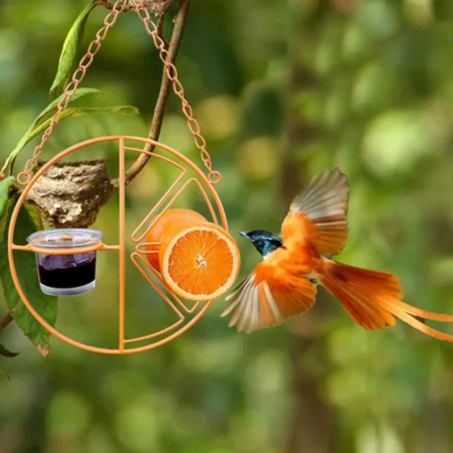 🎉 Last Day Promotion-50% OFF 🎉2-in-1 hanging hummingbird oriole feeder