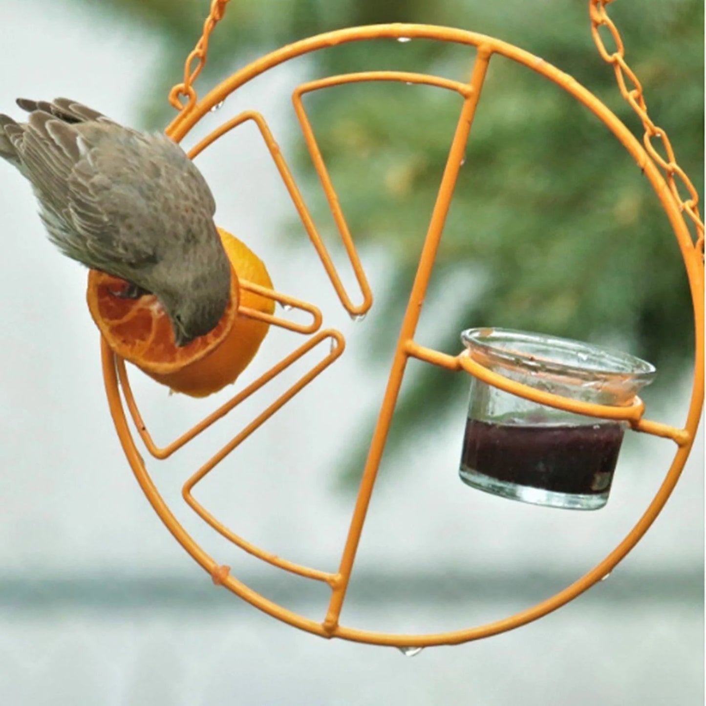 🎉 Last Day Promotion-50% OFF 🎉2-in-1 hanging hummingbird oriole feeder