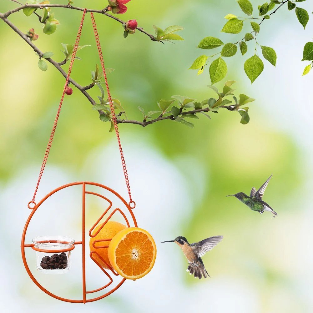 🎉 Last Day Promotion-50% OFF 🎉2-in-1 hanging hummingbird oriole feeder