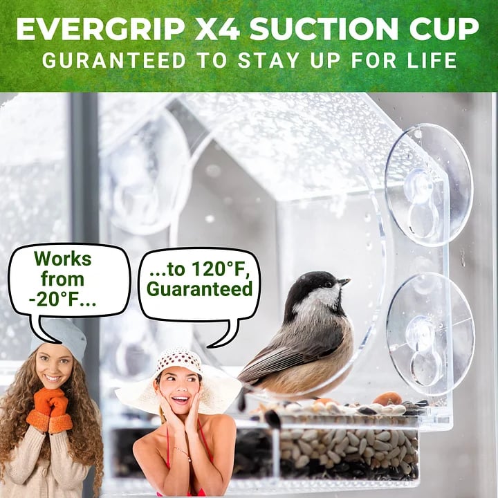 🔥Last Day Promotion -50% Off🐦Window Bird Feeder for Outside
