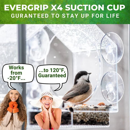 🔥Last Day Promotion -50% Off🐦Window Bird Feeder for Outside