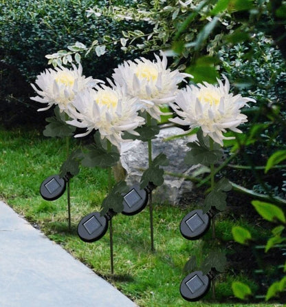 🔥Last Day Promotion 49% OFF - 30" Chrysanthemum Solar Garden Stake LED