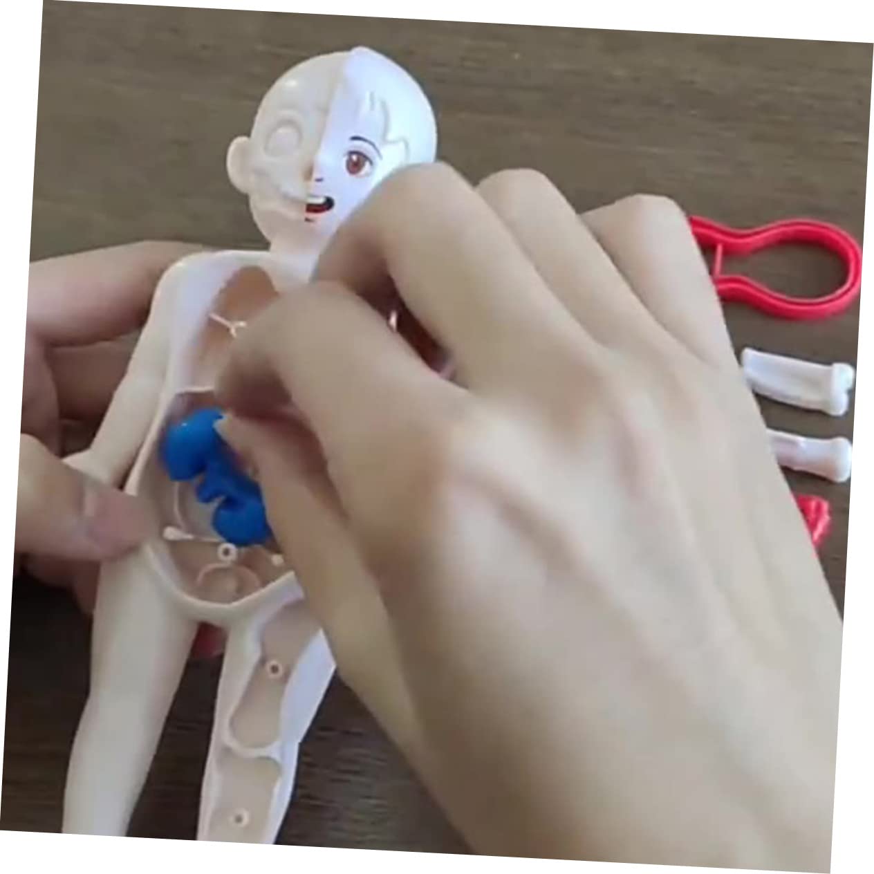 ☠️Mannequin Eject Educational Toy 🎁Halloween Gift