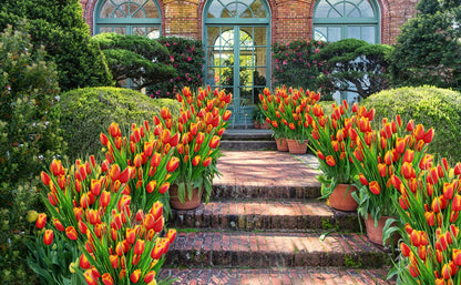 Last Day 49% OFF-Outdoor Artificial Tulips Flowers💐