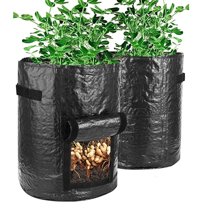 Vegetables Grow Planter PE Container Bag(BUY 3 FREE SHIPPING)
