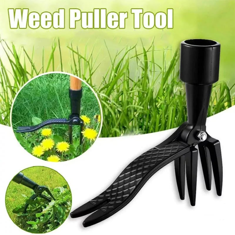 Last Day 49% 0FF🌳Weed Puller Tool