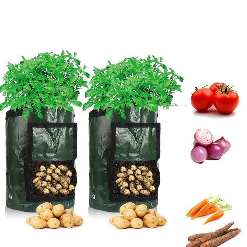 Vegetables Grow Planter PE Container Bag(BUY 3 FREE SHIPPING)