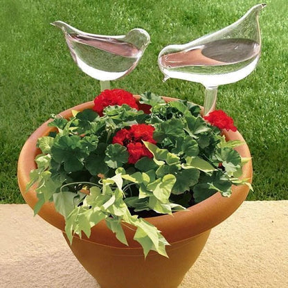 Last Day 49% 0FF🌳Self-Watering Plant Bird Type Bulbs