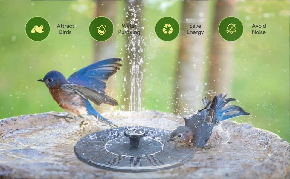 🔥LAST DAY 50% OFF🔥Solar-Powered Bird Fountain Kit