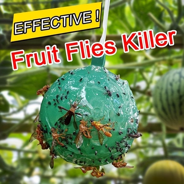 🎁 Hanging Environmental Fruit Fly Traps Sticky Traps