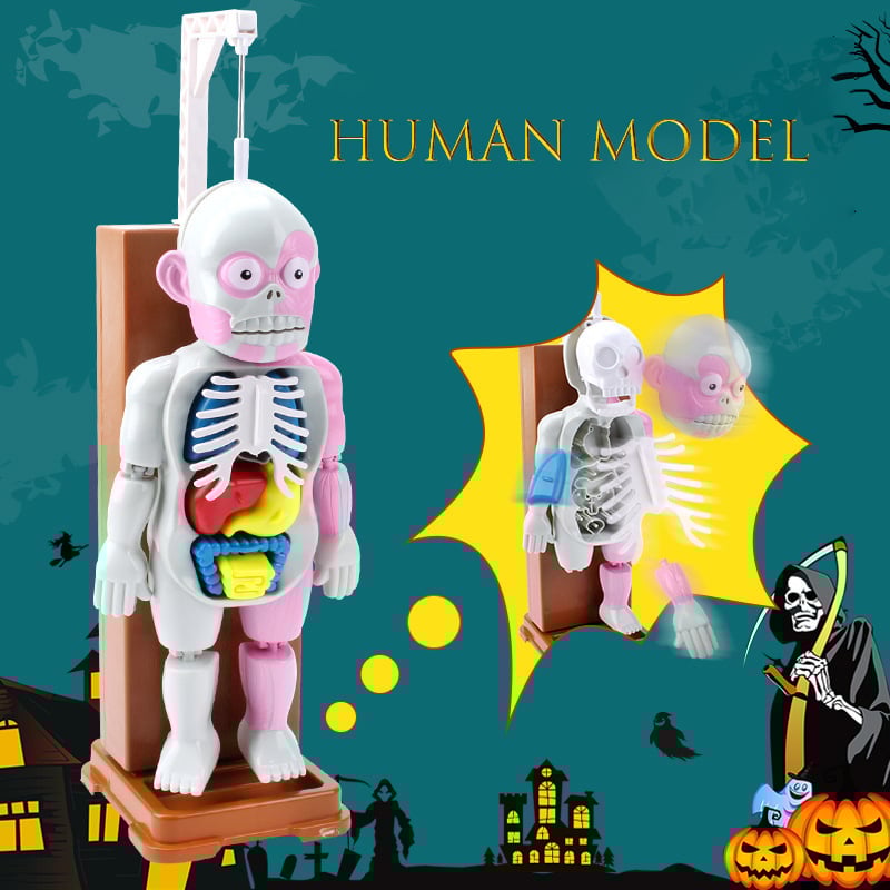 ☠️Mannequin Eject Educational Toy 🎁Halloween Gift