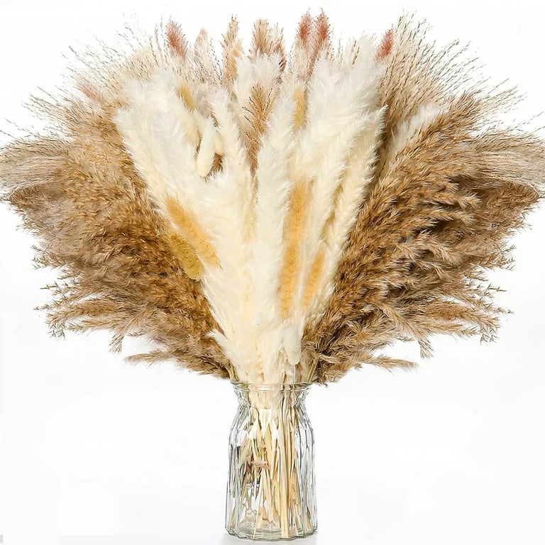 Natural dried pampas grass boho home decor bouquet💐