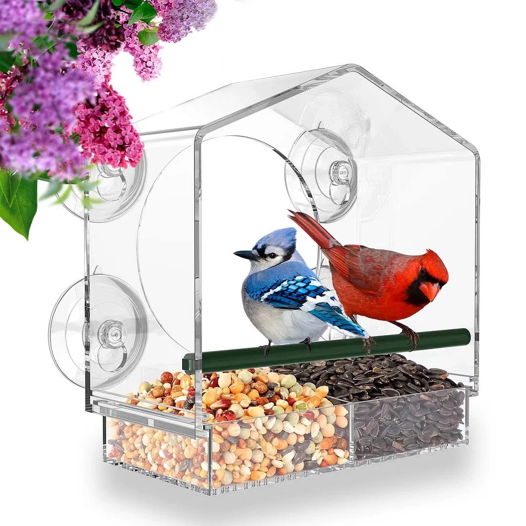 🔥Last Day Promotion -50% Off🐦Window Bird Feeder for Outside