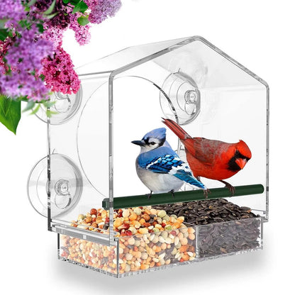 🔥Last Day Promotion -50% Off🐦Window Bird Feeder for Outside