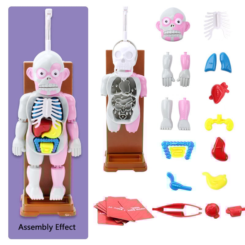 ☠️Mannequin Eject Educational Toy 🎁Halloween Gift