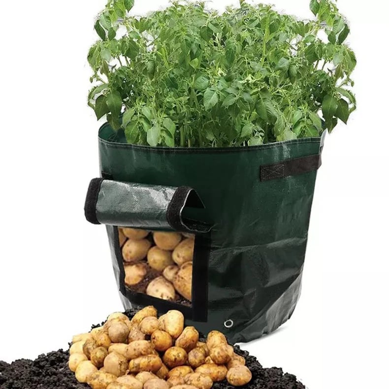 Vegetables Grow Planter PE Container Bag(BUY 3 FREE SHIPPING)