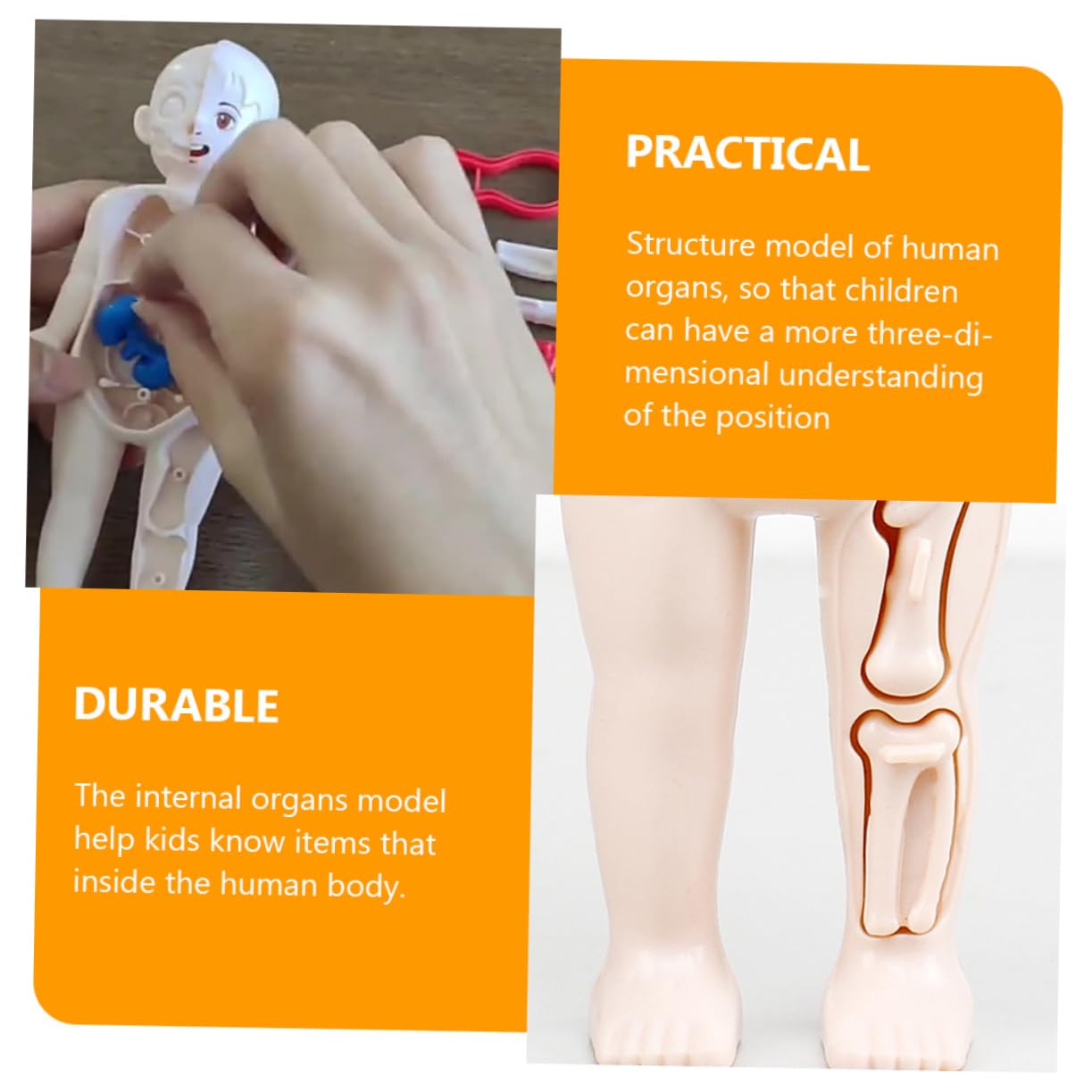 ☠️Mannequin Eject Educational Toy 🎁Halloween Gift