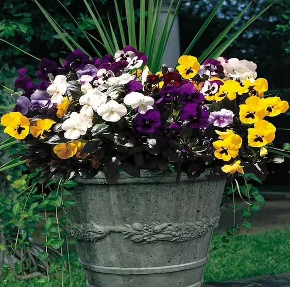 🌸Last Day 49% OFF-Outdoor Artificial Pansy Flowers💐
