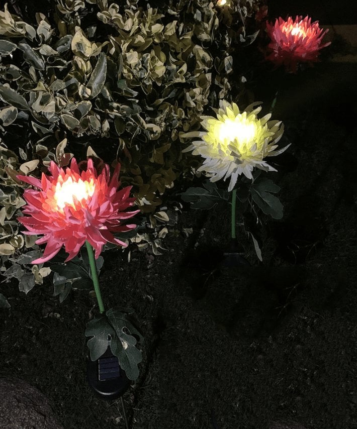 🔥Last Day Promotion 49% OFF - 30" Chrysanthemum Solar Garden Stake LED