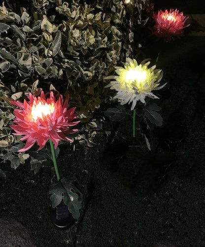 🔥Last Day Promotion 49% OFF - 30" Chrysanthemum Solar Garden Stake LED