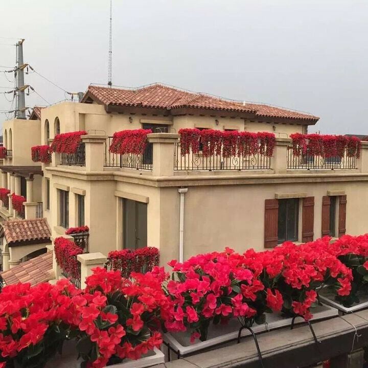 🔥Last Day Sale 49% OFF🔥——🌺🌷Vivid Artificial Hanging Orchid Bunch——Buy 4 Free Shipping