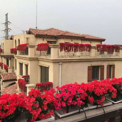 🔥Last Day Sale 49% OFF🔥——🌺🌷Vivid Artificial Hanging Orchid Bunch——Buy 4 Free Shipping