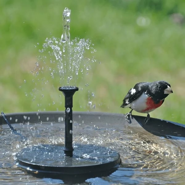 🔥LAST DAY 50% OFF🔥Solar-Powered Bird Fountain Kit