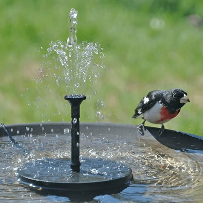 🔥LAST DAY 50% OFF🔥Solar-Powered Bird Fountain Kit