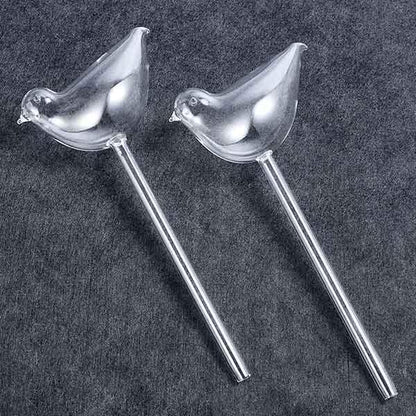 Last Day 49% 0FF🌳Self-Watering Plant Bird Type Bulbs