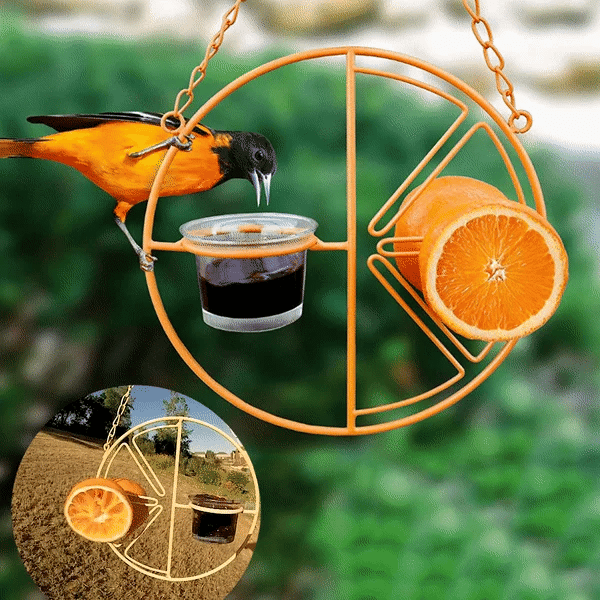 🎉 Last Day Promotion-50% OFF 🎉2-in-1 hanging hummingbird oriole feeder