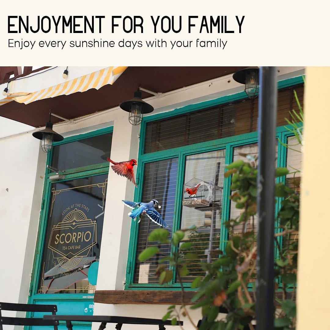 🔥Last Day Promotion -50% Off🐦Window Bird Feeder for Outside