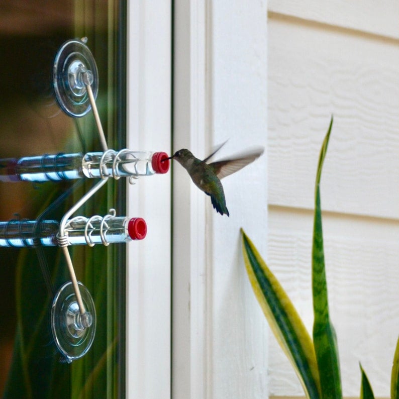 🔥Last Day 49% OFF🔥Geometric Window Hummingbird Feeder🐦BUY 2 GET 1 FREE