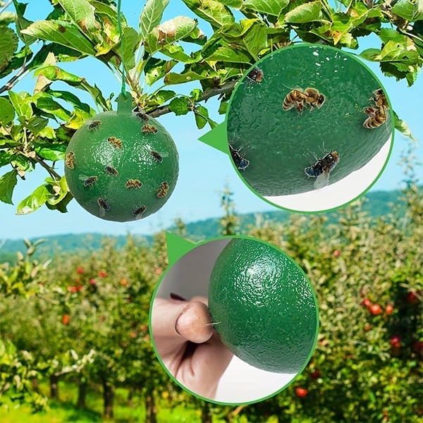 🎁 Hanging Environmental Fruit Fly Traps Sticky Traps