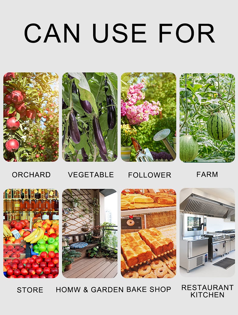 🎁 Hanging Environmental Fruit Fly Traps Sticky Traps