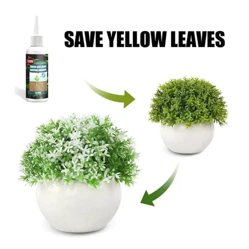 💚Buy3get2Free💚 Plant Nutrient Solution