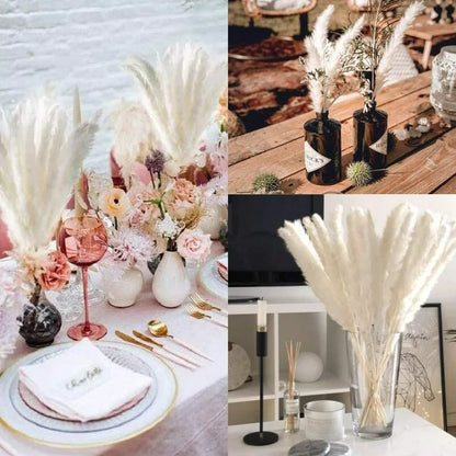Natural dried pampas grass boho home decor bouquet💐