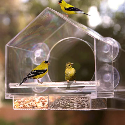 🔥Last Day Promotion -50% Off🐦Window Bird Feeder for Outside