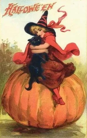 🏆 2026 Best Seller | Limited-Time 70% OFF